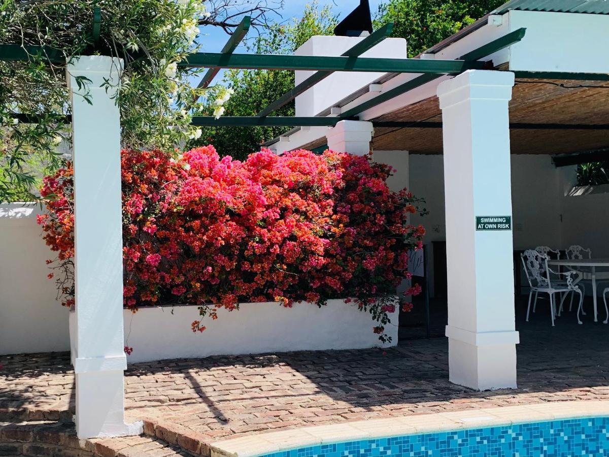 De Wingerd B & B Graaff-Reinet Kültér fotó
